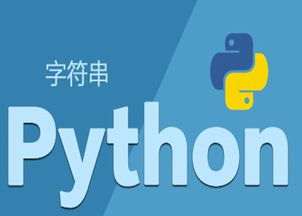 娄底python入门基础培训教程 动脑供